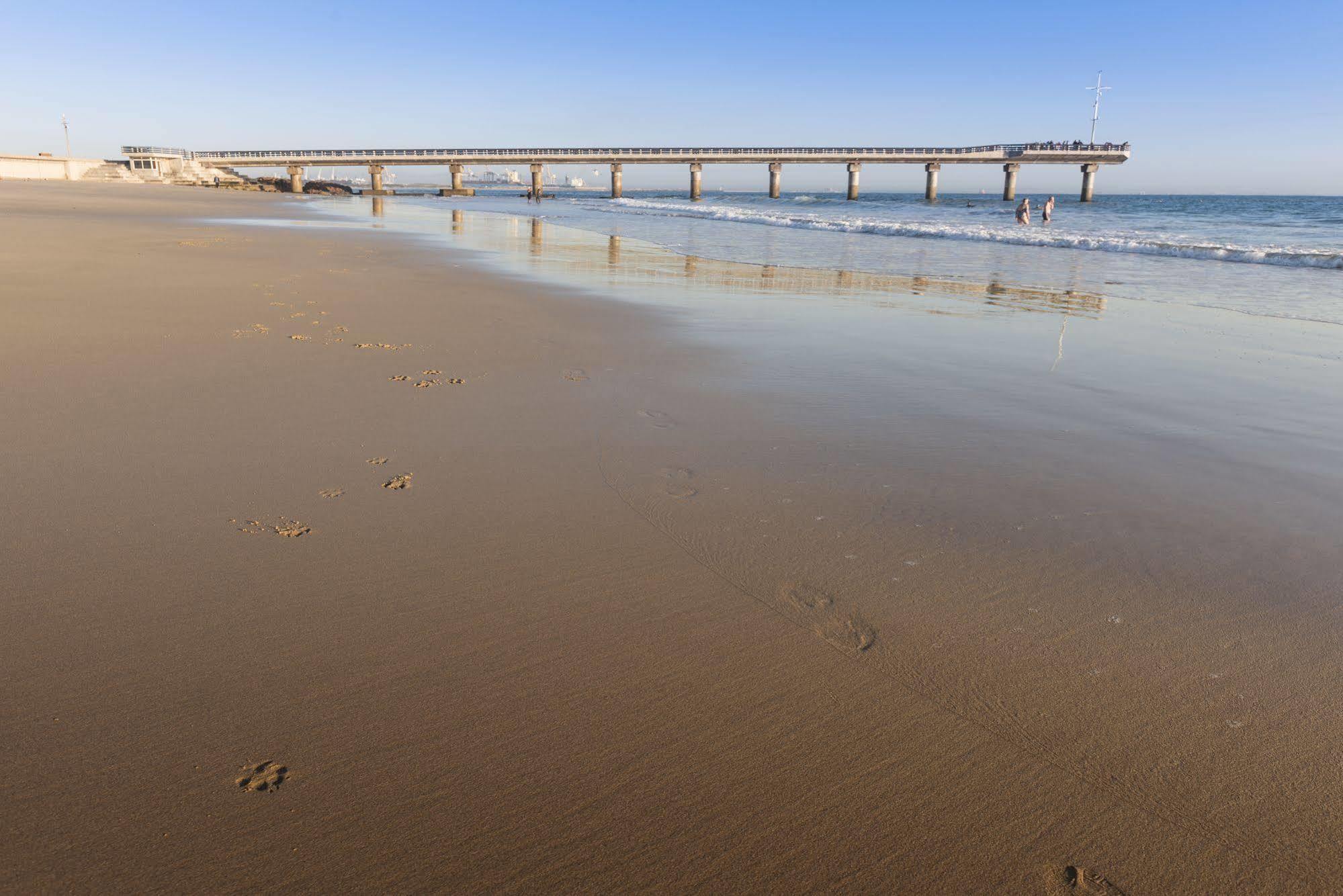 Beachwalk Bed And Breakfast - #Solar Energy #No Loadshedding Port Elizabeth Exterior photo